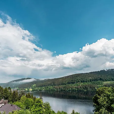In - Schwarzwald 39898 Titisee-Neustadt