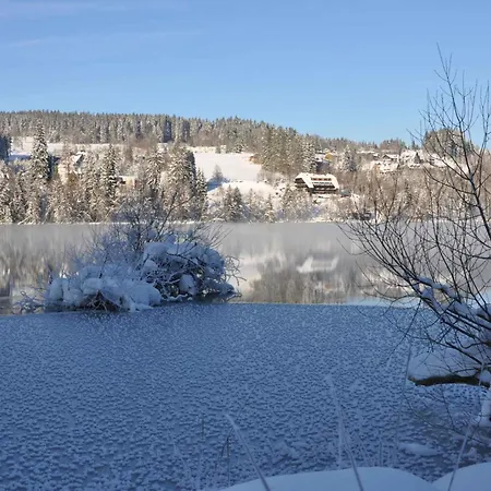 In - Schwarzwald 39898 Apartament Titisee-Neustadt
